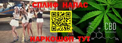 молекула духа Кулебаки