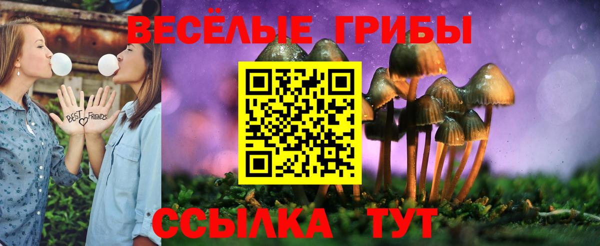 Галлюциногенные грибы Psilocybine cubensis  Вход с VPN  Екатеринбург  Галлюциногенные грибы ЛСД 